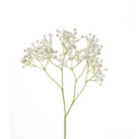 Kunstbloemen Gipskruid/Gypsophila takken wit 58 cm   - - thumbnail