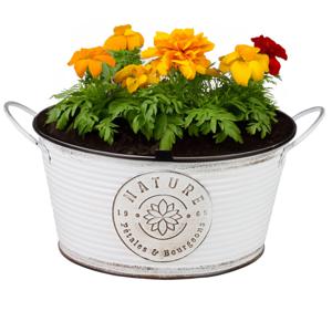 Plantenpot/bloempot teil voor buiten - zink - rond - ivoorwit - D25 x H12 cm