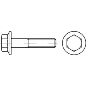 TOOLCRAFT TO-5391438 Zeskantbout M6 16 mm Buitenzeskant Staal Galvanisch verzinkt 500 stuk(s)