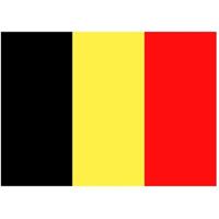 Vlag van Belgie stickers - 7.5 x 10 cm - Binnen/buiten