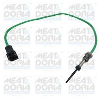 Sensor, uitlaatgastemperatuur 12531