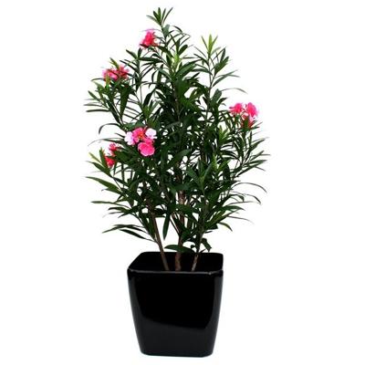 Oleander deluxe kunstplant 150cm - rose