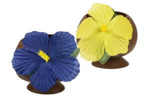 Coconut Hawaii cup