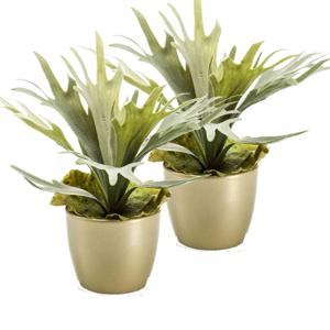 Kunstplant Staghorn varen - 2x - groen - in gouden pot - 38 cm