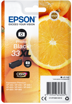 Epson 33XL foto zwart