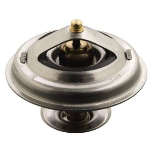 Thermostaat 17916