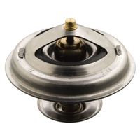 Thermostaat 17916