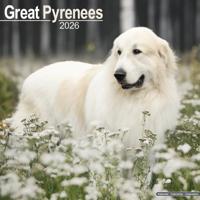 Pyreneese Berghond Kalender 2026