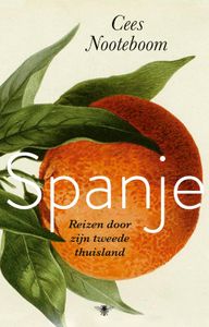 Het Spaanse van Spanje - Cees Nooteboom - ebook