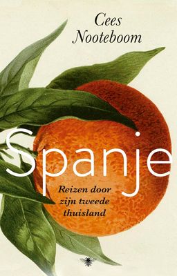 Het Spaanse van Spanje - Cees Nooteboom - ebook