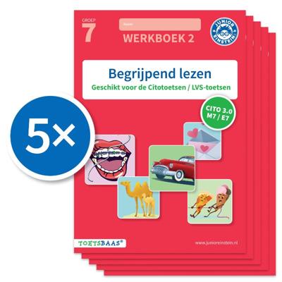 Begrijpend lezen werkboek 2 (Set van 5) (Paperback)