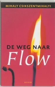 De Weg Naar Flow