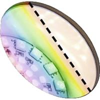 Paulmann Kikolo 94769 Verlichtingssysteem Plug&Shine LED-tuinspot LED 6.2 W RGB Antraciet