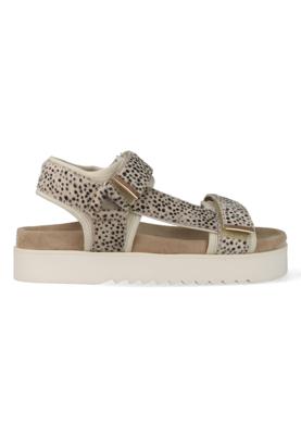 Maruti Beau 66.1653.04-ZJ2 Zilver maat