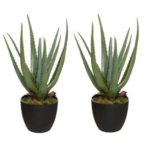 Set van 2x stuks atmosphera Aloe kunstplanten in pot van cement 42 cm