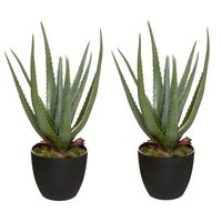 Set van 2x stuks atmosphera Aloe kunstplanten in pot van cement 42 cm