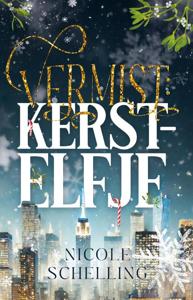 Vermist: kerstelfje (Paperback)