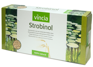 Vincia Strobinol