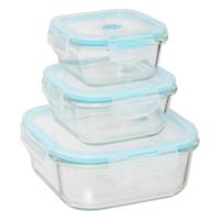 5Five Vershoudbakjes met deksel - glas - set 3x stuks - 330/530/1180 ml