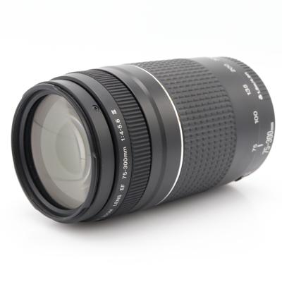 Canon EF 75-300mm F/4-5.6 III occasion