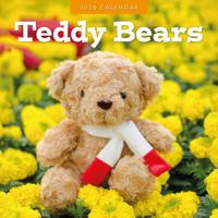 Teddy Bears Kalender 2026