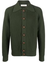 Giuliva Heritage cardigan The Nino à boutonnière - Vert
