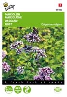 Marjolein Oregano - Buzzy