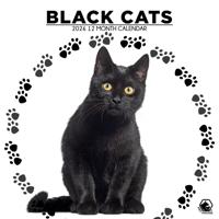 Zwarte Katten Kalender 2026