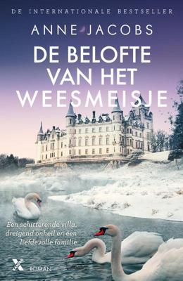 De belofte van het weesmeisje (Paperback)