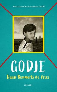 Godje (Paperback)