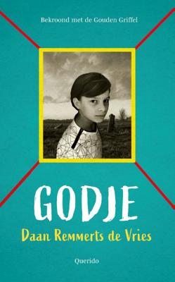 Godje (Paperback)