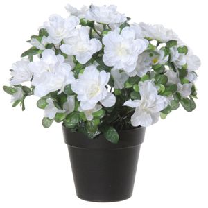 Azalea Kunstbloemen - in pot - wit - H28 cm