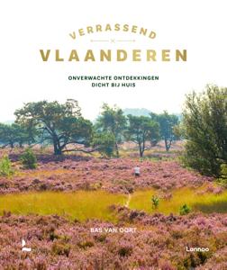 Verrassend Vlaanderen (Hardback)