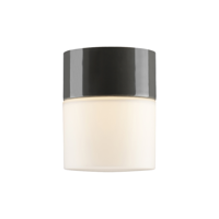 Ifo Electric - Opus 100/125 Plafondlamp/Wandlamp Ifo Electric - Opus 100/125 Plafondlamp/Wandlamp
