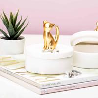 Porseleinen juwelendoosje - Kat