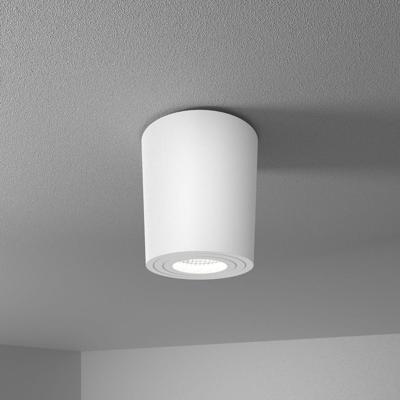 Paxton LED Opbouwspot - 5 Watt 400 Lumen - 6000K daglicht wit - GU10 - Badkamer Opbouwspot - Kantelbaar - Dimbaar - IP65 waterdicht - Rond - Voor binnen en buitengebruik - Wit