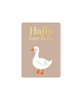 Cadeaukaartje - Hallo lieve baby