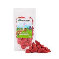 FACTORY HERBS Freeze-dried strawberries - snack voor knaagdieren en konijnen - 20g