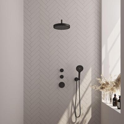 BRAUER Stripe Thermostatische Inbouw Regendouche - SET 05 - 25cm douchekop - gebogen muurarm - 3-standen handdouche - doucheslang - wandaansluitbocht - mat zwart 5-S-373