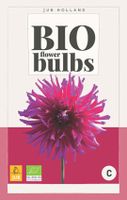 Bio Dahlia Orfeo Bloembol JUB 1 bol - Jub