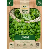 Veldsla verte de cambrai per 20m