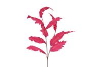 Decostar kunsttak Alnus Colourfull 112 cm rood