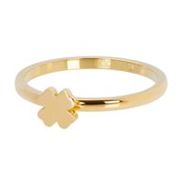 iXXXi Vulring Symbol Clover Goud