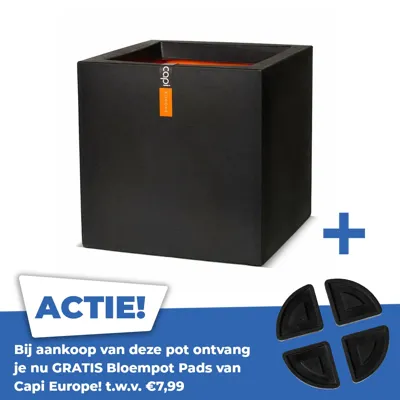 Urban Smooth NL II bloempot vierkant zwart 30x30x30 cm plantenbak Capi Urban Smooth NL II bloempot vierkant zwart 30x30x30 cm plantenbak Capi