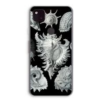 Haeckel Prosobranchia: Google Pixel 4a 5G Transparant Hoesje