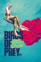 Poster Birds of Prey Broken Heart 61x91,5cm Poster Birds of Prey Broken Heart 61x91,5cm