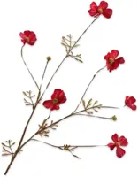 Silk-ka kunsttak cosmos 77cm beauty