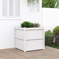 VidaXL Plantenbak 70x70x70 cm massief grenenhout wit