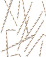 HEMA Papieren Rietjes Goud - 20 Stuks