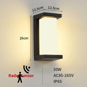 RAINFORCE IP65 LED Buitenwandlamp